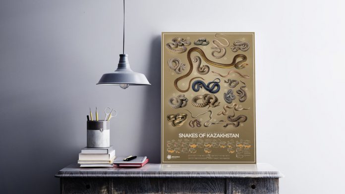 Begonia Studio Snakes of Kazakhstan