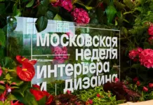 Московская неделя дизайна, Дарья Василькова