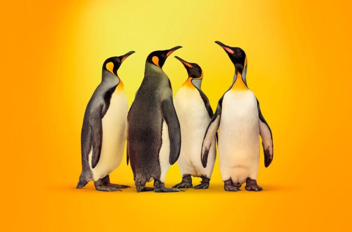 kaspersky linux