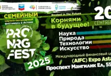 PRO.NRG Fest 2025 объединит педагогов, историков, эко-лидеров и стартапы в формате «Древа знаний» PRO NRG FEST 2025