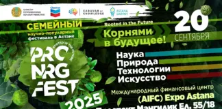 PRO.NRG Fest 2025 объединит педагогов, историков, эко-лидеров и стартапы в формате «Древа знаний» PRO NRG FEST 2025