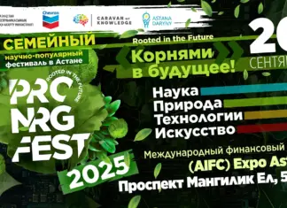 PRO.NRG Fest 2025 объединит педагогов, историков, эко-лидеров и стартапы в формате «Древа знаний» PRO NRG FEST 2025