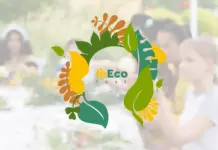 GForce Grey объединили инклюзию, моду и экологию в айдентике InEco Fest 2025