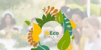 GForce Grey объединили инклюзию, моду и экологию в айдентике InEco Fest 2025