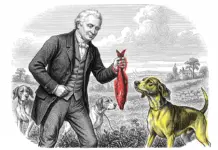 Как «Красная Селёдка» спасает дизайнеров от клиентского ада красная селедка, желтая собака