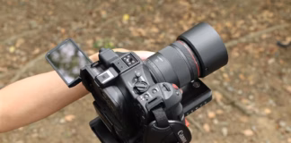 Портретная классика в новом прочтении: новый профессиональный объектив Canon 85 мм для гибридной съемки rf-85mm