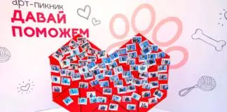 22 питомца обрели новый дом во время благотворительного мероприятия «Давай поможем» Давай поможем