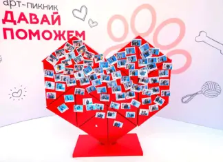 22 питомца обрели новый дом во время благотворительного мероприятия «Давай поможем» Давай поможем