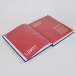 Дамир Отеген