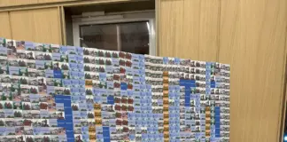 Локальная история как культурный проект: вышла новая книга «Сәлем, Семей!» Сәлем Семей Salem Semei