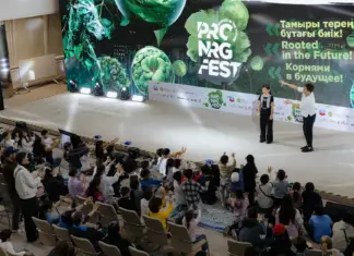 От идеи к эмоции: как создавался визуальный язык PRO.NRG Fest PRO.NRG Fest