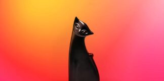 Троянец SparkCat возвращается: опасный зловред снова замечен в App Store и Google Play ios-android-ocr-stealer-sparkcat-featured