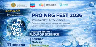 PRO.NRG FEST 2026 раскрывает программу Pro NRG FEST 2026