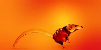 Новый троянец-пранкер контролирует заражённые компьютеры и жестоко «шутит» над их владельцами CrystalX kaspersky