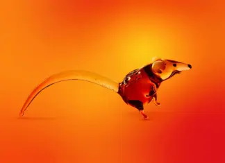 Новый троянец-пранкер контролирует заражённые компьютеры и жестоко «шутит» над их владельцами CrystalX kaspersky