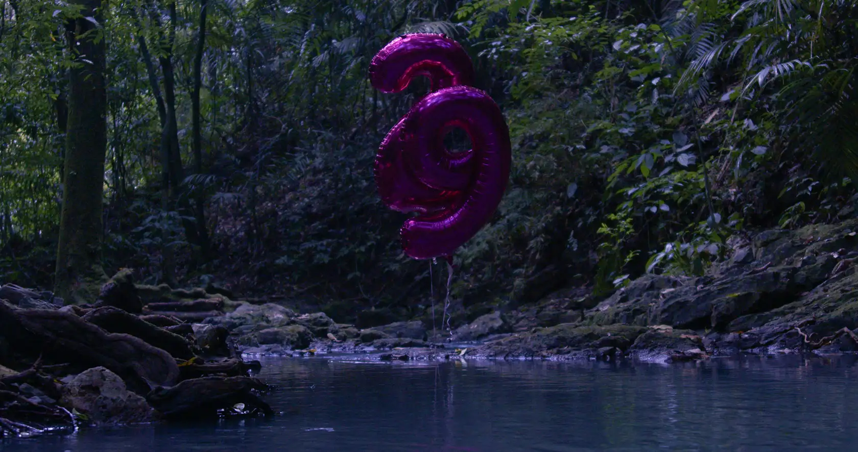 Balloon 2 - Pam Martinez