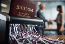 Экономика реальных навыков: как поправки в Трудовой кодекс РК меняют ценность человеческого капитала диплом Антон Девятьяров