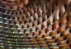 Corten yurt: anti yurt