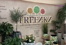 TREEZ.KZ: реалистичные растения и дизайнерские кашпо для современных пространств искусственные растения Treez.kz