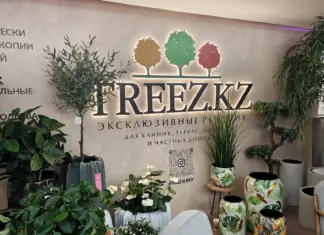 TREEZ.KZ: реалистичные растения и дизайнерские кашпо для современных пространств искусственные растения Treez.kz