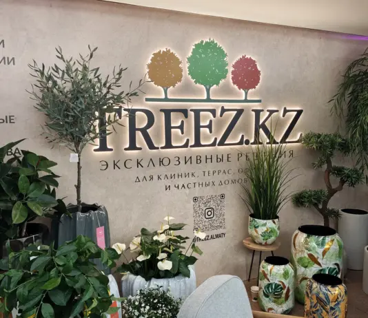 TREEZ.KZ: реалистичные растения и дизайнерские кашпо для современных пространств искусственные растения Treez.kz
